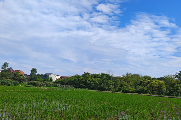 財(cái)政部等三部門印發(fā)《農(nóng)業(yè)防災(zāi)減災(zāi)和水利救災(zāi)資金管理辦法》