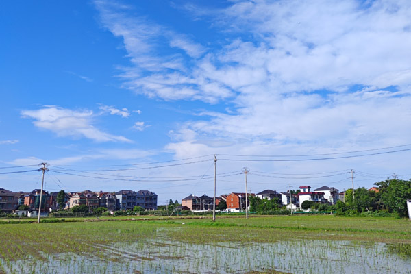 農(nóng)業(yè)農(nóng)村部啟動奮戰(zhàn)140天強春管促壯苗抗災奪夏糧豐收行動